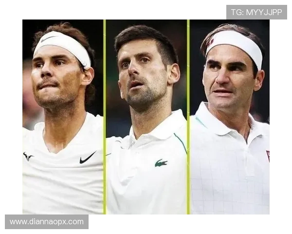 网球大满贯赛季回顾 纳达尔与小威再创历史传奇