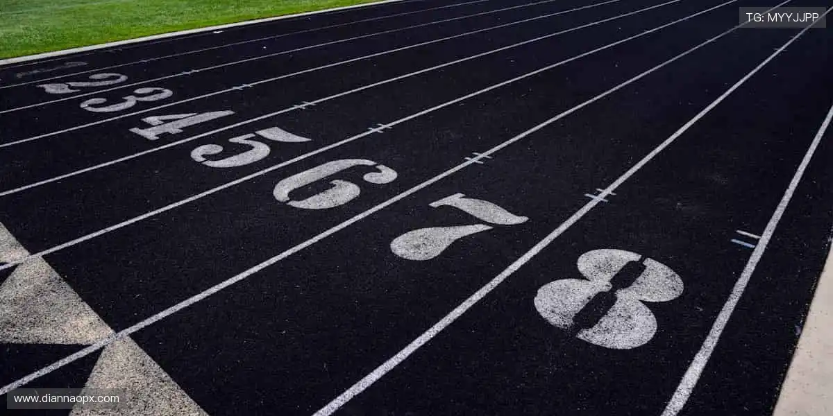 🎯 周边装备,让热爱触手可及!